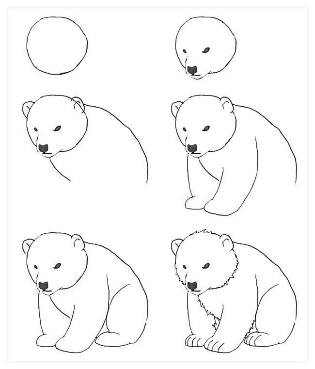   ,      - 5