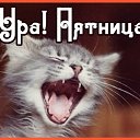���� �����, ������, 53 ���� - ��������� 16 ������� 2016