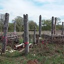 ���� ������, ������, 54 ���� - ��������� 24 ������ 2016 � ������ ����������� � ���������