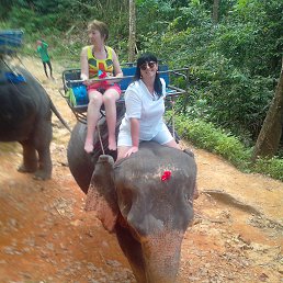 ���� �����, �����������, 54 ���� - ��������� 11 ������� 2017