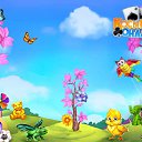 ���� �����, ������, 53 ���� - ��������� 5 ����� 2017 � ������ �������� �������-�������