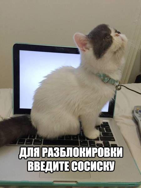   :D - 1  2017  09:05
