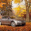 ���� ����, ������ - ��������� 1 ������ 2016 � ������ ���� ����������