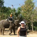 ���� ����, ������ - ��������� 25 ������� 2017 � ������ �����