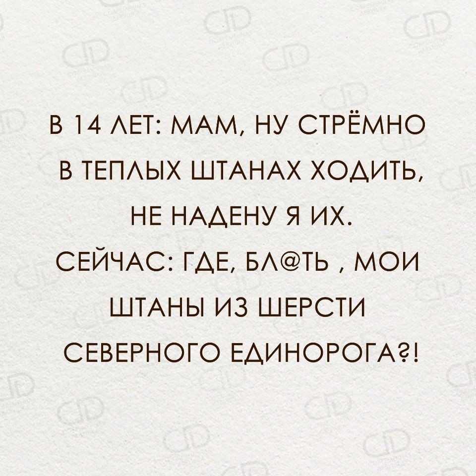 Наденешь он ходит. Штаны из шерсти Северного единорога. Где Мои штаны из шерсти Северного единорога прикол. Где Мои штаны. Шерсть Северного единорога.