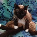  , -, 45  -  28  2016