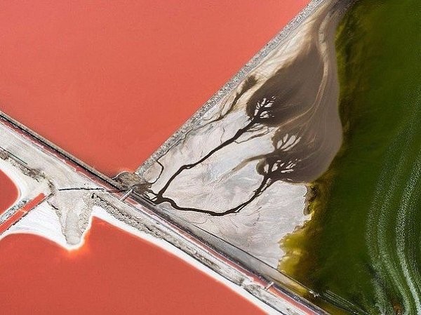 10 фотографий без фотошопа, где реальность граничит с иллюзией - 3