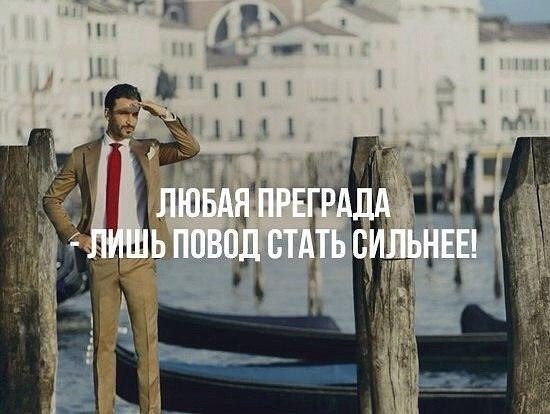 IQ Blog: , , ,  - 29  2017  13:05