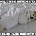 ���� Tavrid, ����, 39 ��� - ��������� 11 ������� 2016 � ������ ������ ��������