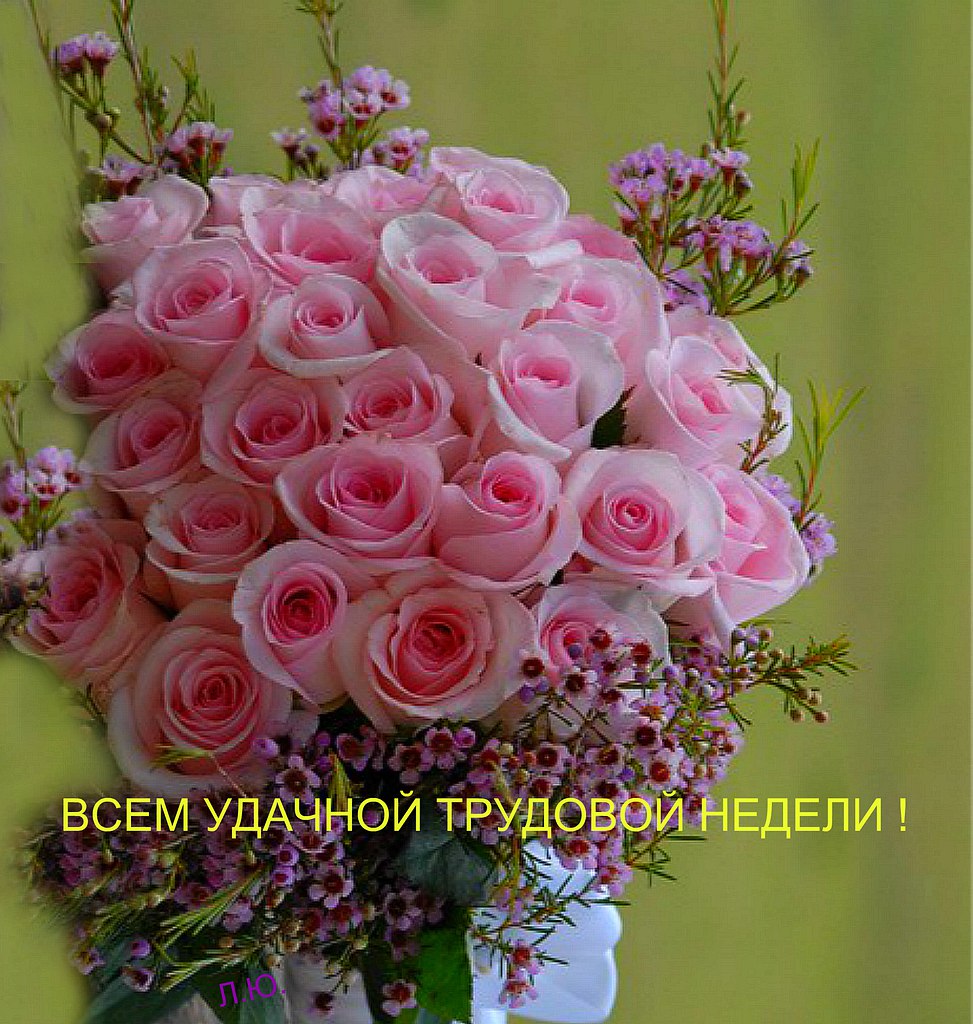   - 10  2016  14:40
