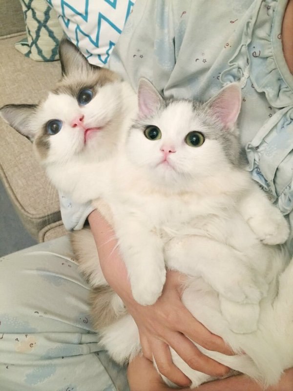   :3