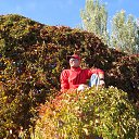  ******,  -  30  2016    