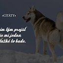 ���� Host, ����, 61 ��� - ��������� 26 ����� 2017 � ������ �pravda�