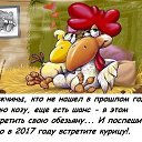  ,  -  3  2016   111