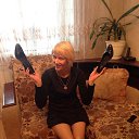 ���� � �, ���������, 44 ���� - ��������� 23 ������� 2016 � ������ ���� ����������