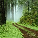 ���� ������, �����������, 42 ���� - ��������� 18 �������� 2016