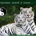 ���� �����, ����������� - ��������� 13 ������� 2016 � ������ ������ ��������