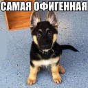 ���� �������, ������������, 59 ��� - ��������� 21 �������� 2016 � ������ ���� ����������