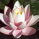 ���� �����, ������ - ��������� 1 ����� 2017 � ������ ������ ��������