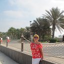 ���� �������, ������������ - ��������� 29 ������ 2016 � ������ ���������