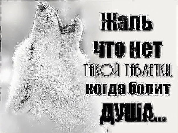 Не бегите и не отворачивайтесь от человека который вас любит. - 2
