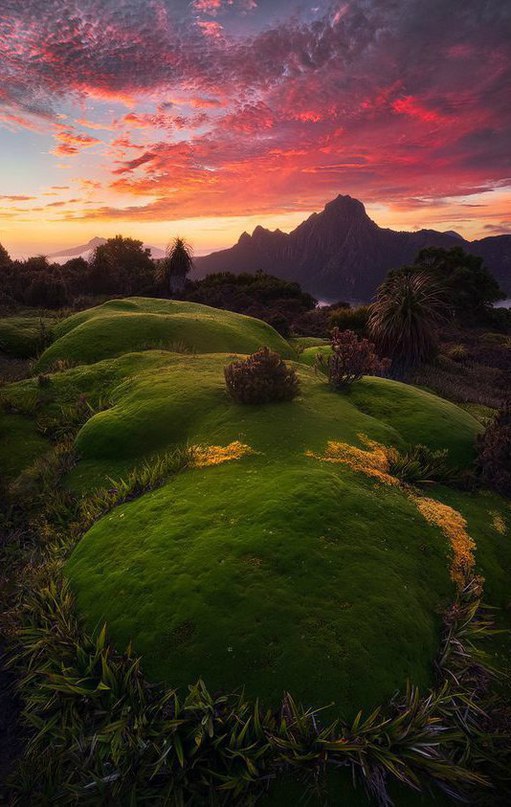   - 9  2016  02:30 - 3