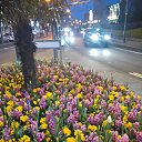 ���� Lana, ������, 54 ���� - ��������� 1 ������ 2017 � ������ �Timeline Photos�