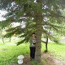 ���� ����, ������-��������, 42 ���� - ��������� 5 ������� 2016 � ������ ���� ����������