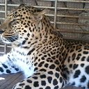 ���� �����, ����������� ����, 50 ��� - ��������� 16 ������� 2017 � ������ ���� ����������