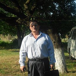 �����, ������, 54 ����