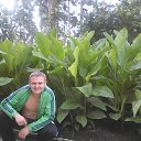 ���� �������, ��������, 44 ���� - ��������� 27 ������� 2016