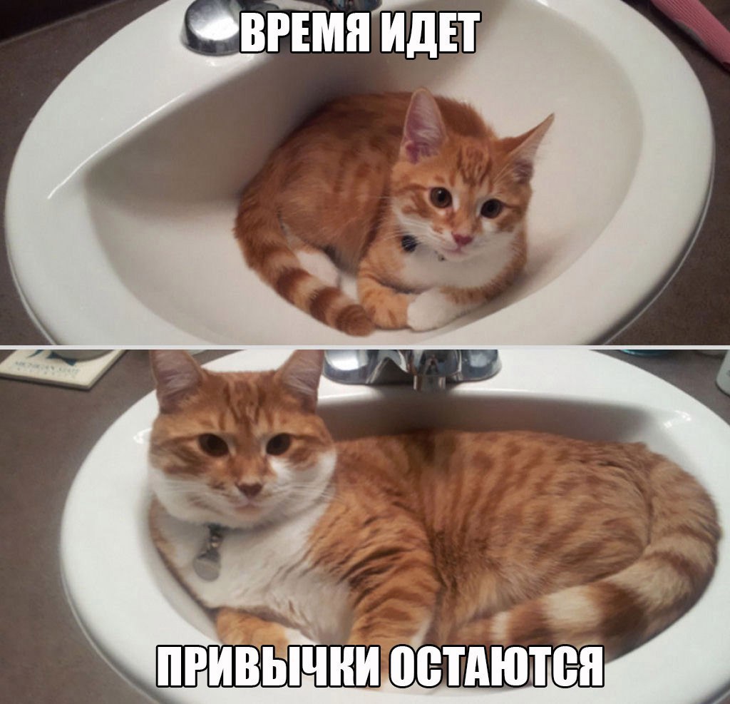  - 14  2016  21:07