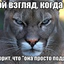 ���� ����, ���� - ��������� 11 ������� 2016 � ������ ������ ��������