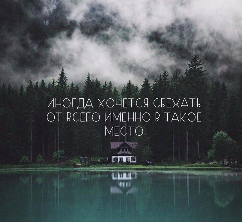  | ,  - 8  2017  10:58