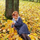 ���� ���� (�� �������� � ��������), �����-��������� - ��������� 2 ������� 2016 � ������ ���� ����������