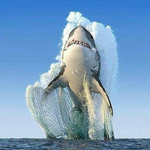  ..