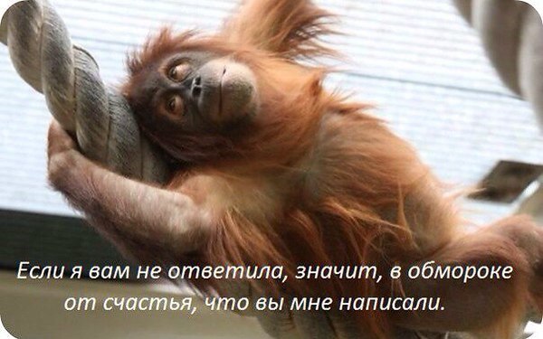  - 20  2016  21:07