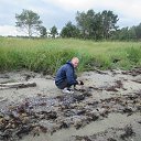 ���� �����, ������������ - ��������� 2 ������ 2016 � ������ ���� ����������