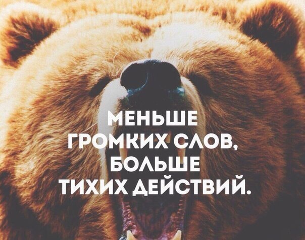    ! - 8  2016  12:40
