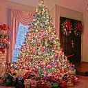 ���� ���������, �������, 38 ��� - ��������� 1 ������� 2016 � ������ ���� ���� ������