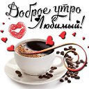 ���� ��������, �����-��������� - ��������� 23 ����� 2017 � ������ ������ ��������