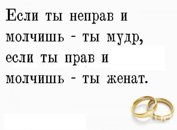      - 2  2017  11:36