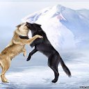 ���� ����, ������������, 58 ��� - ��������� 29 ������ 2017 � ������ ������ ��������