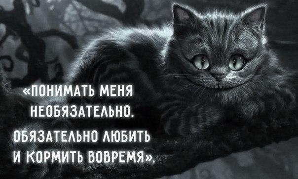 28   .1)             ...