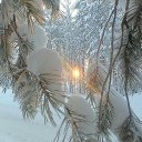 ���� �����, ������, 57 ��� - ��������� 18 ������� 2016 � ������ ������ ��������