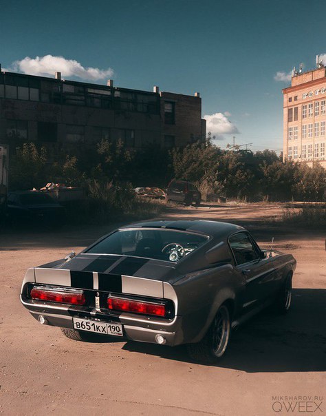 1967 Shelby GT500E - 2