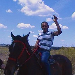 ���� ����, �����, 63 ���� - ��������� 24 ������� 2017