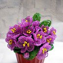 ���� �����, ������-��������, 39 ��� - ��������� 25 ����� 2017 � ������ ���� ����������