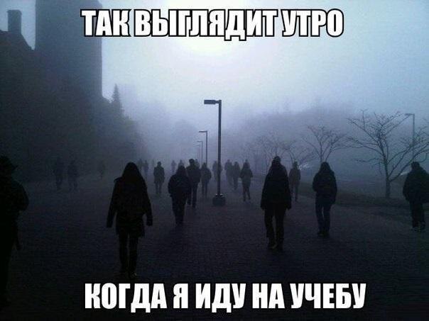 ☆   ☆ - 2  2016  07:06