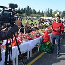  ,  -  14  2016       ̻